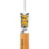 ae-v2-player-golden Player Edition Tape Ball Bat – Golden — view 3